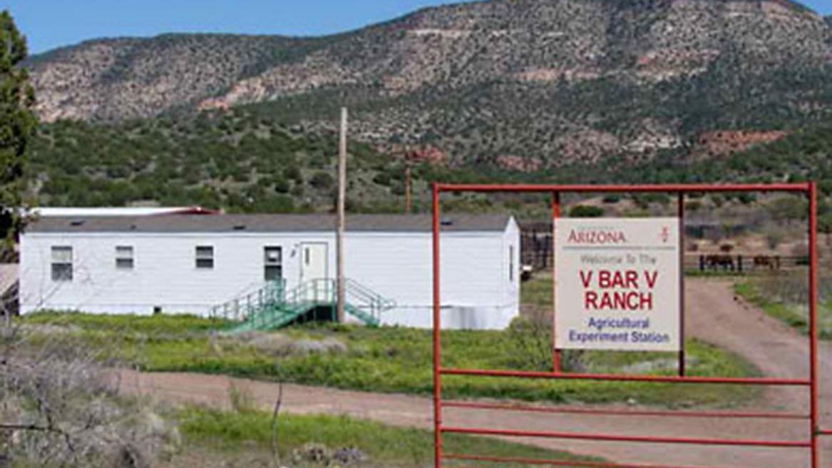 Senate bill would allow UA, Forest Service to exchange land in Coconino Forest